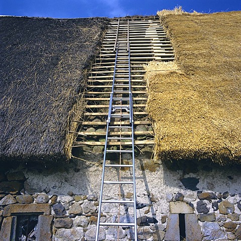 Restoration of a thatched roof