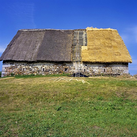 Restoration of a thatched roof