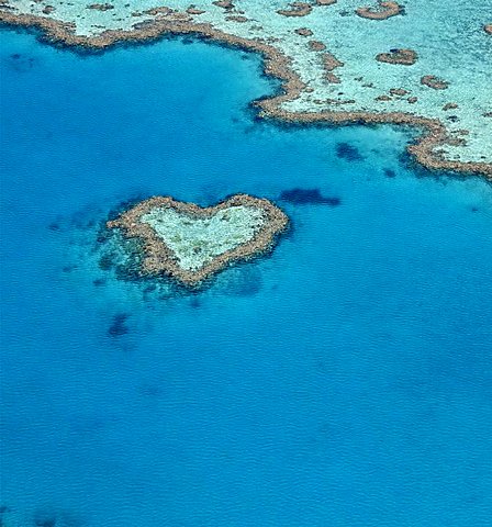 Aerial view of the ocean floor, Heart Reef, heart-shaped reef, Great Barrier Reef World Heritage Area, Great Barrier Reef, UNESCO World Heritage Site, Queensland, South Pacific, Australia