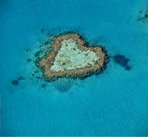 Aerial view of the ocean floor, Heart Reef, heart-shaped reef, Great Barrier Reef World Heritage Area, Great Barrier Reef, UNESCO World Heritage Site, Queensland, South Pacific, Australia