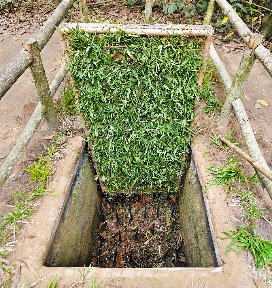 Trap of the Viet Cong, with metal spikes, in the war museum in Cu Chi, Vietnam, Asia