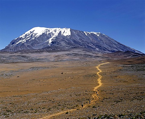 Path to Mount Kilimanjaro, Kilimanjaro National Park, UNESCO World Heritage Site, stratovolcano, Tanzania, East Africa