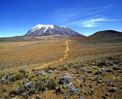 Path to Mount Kilimanjaro, Kilimanjaro National Park, UNESCO World Heritage Site, stratovolcano, Tanzania, East Africa