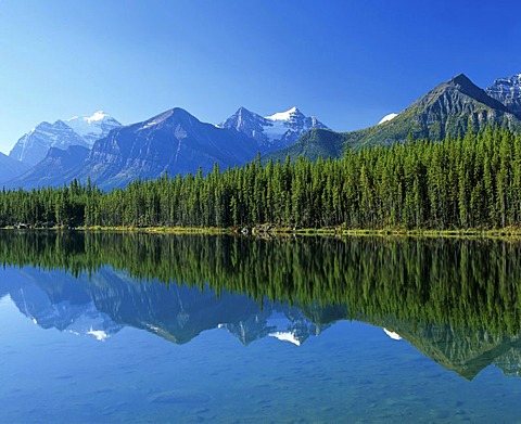 Jasper Tramway, gondola, cablecar, Alberta, Canada