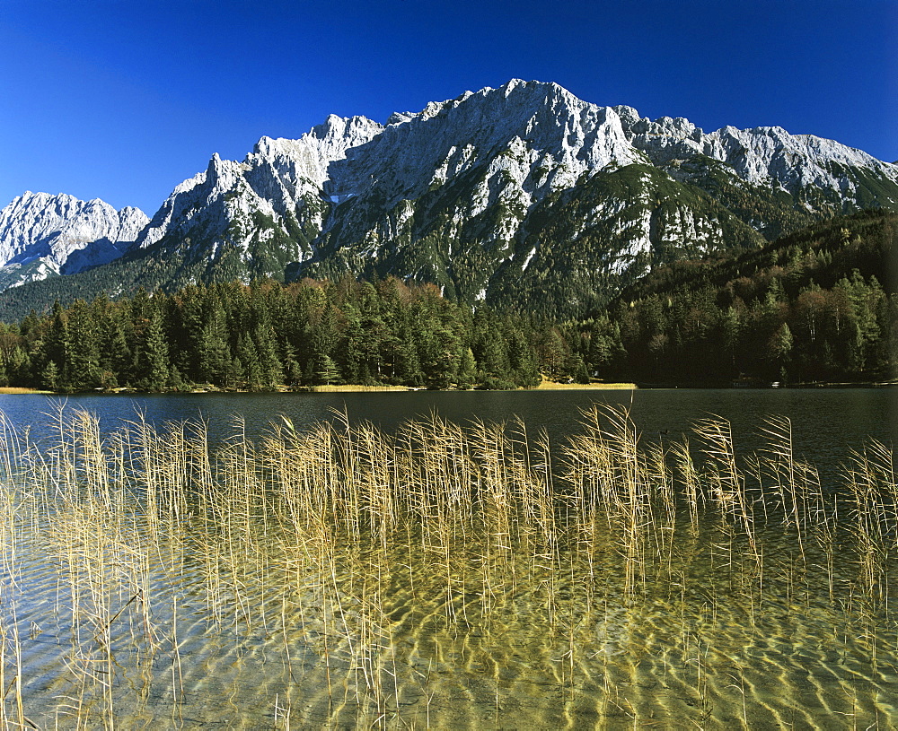 Lake Lautersee, Karwendel Range, Mittenwald Forest, Upper Bavaria, Bavaria, Germany, Europe