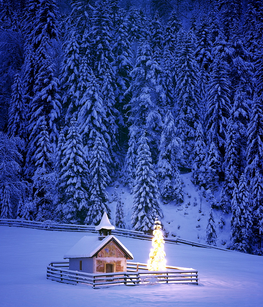 Chapel, Christmas tree near Elmau, Upper Bavaria, Bavaria, Germany, Europe