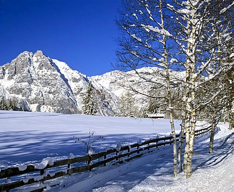 Leutaschklamm, Oefelekopf with Wetterstein wall, winter, Wettersteingebirge, Tyrol, Austria