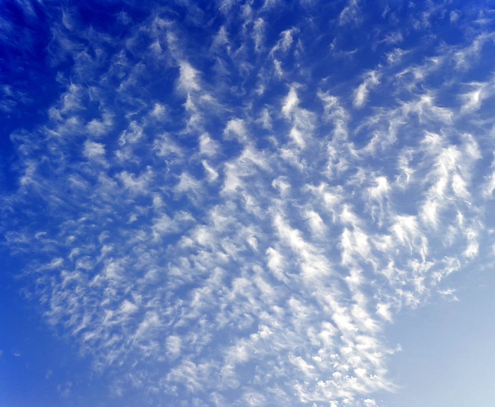 Cotton wool clouds (cirrocumulus)