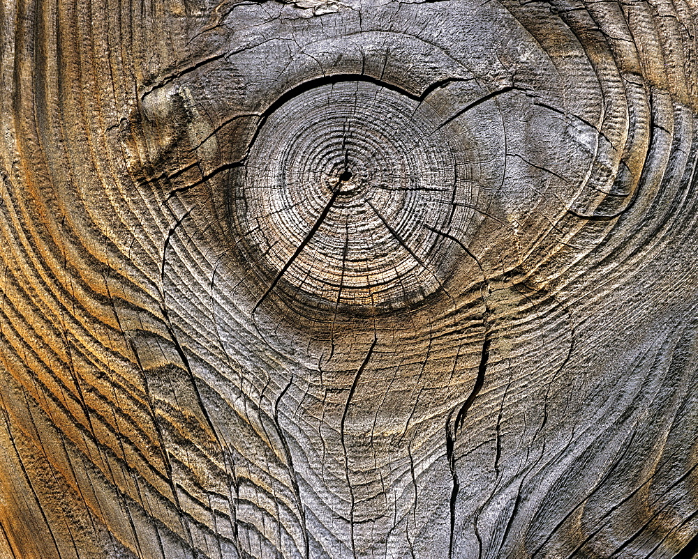 Wood grain, knothole