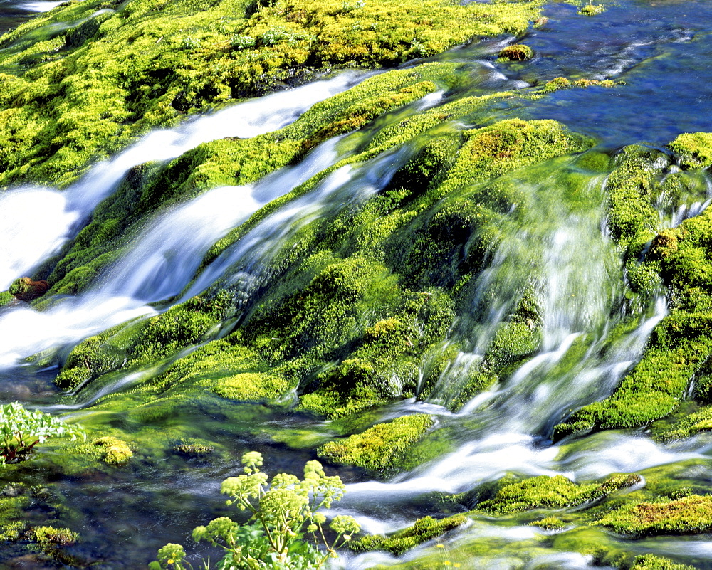 Small waterfall in a mountain stream with moss-covered rocks, Iceland