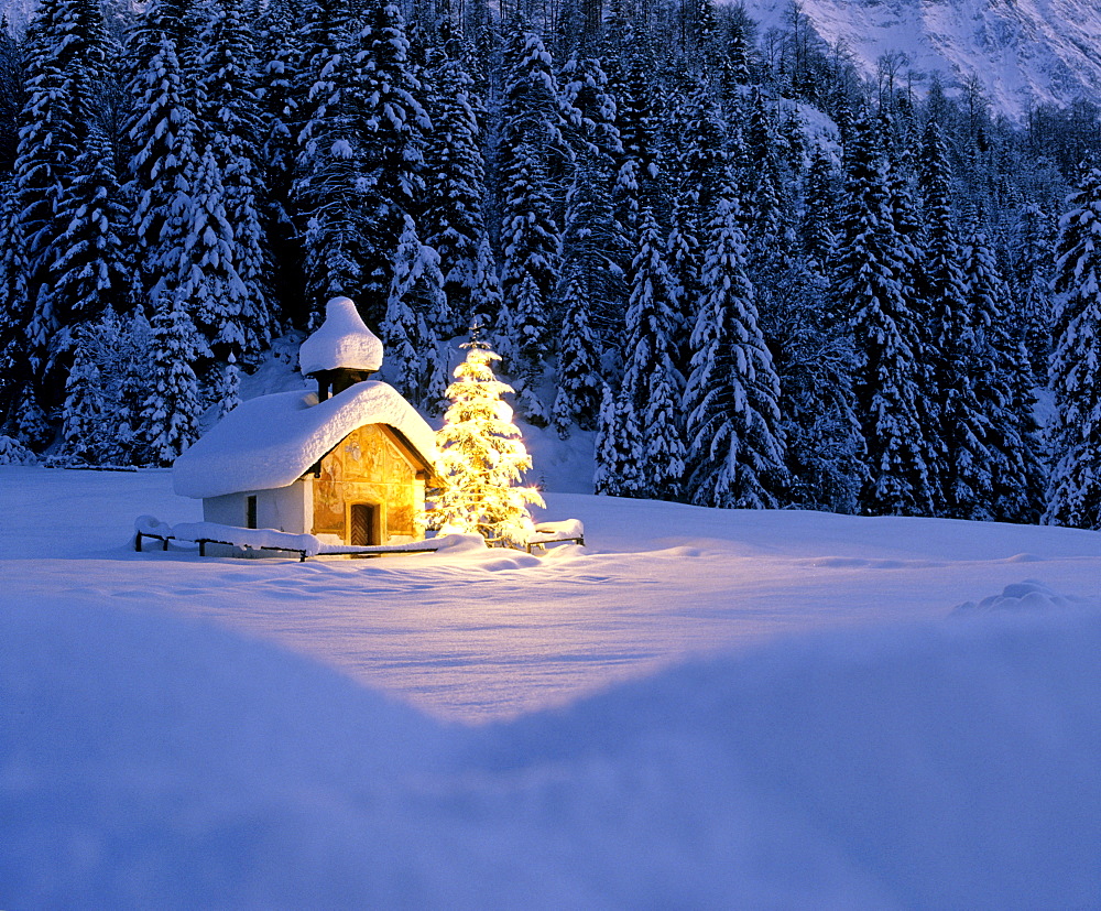 Chapel near Elmau, dusk, snow-covered winter landscape, Christmas tree, Upper Bavaria, Bavaria, Germany