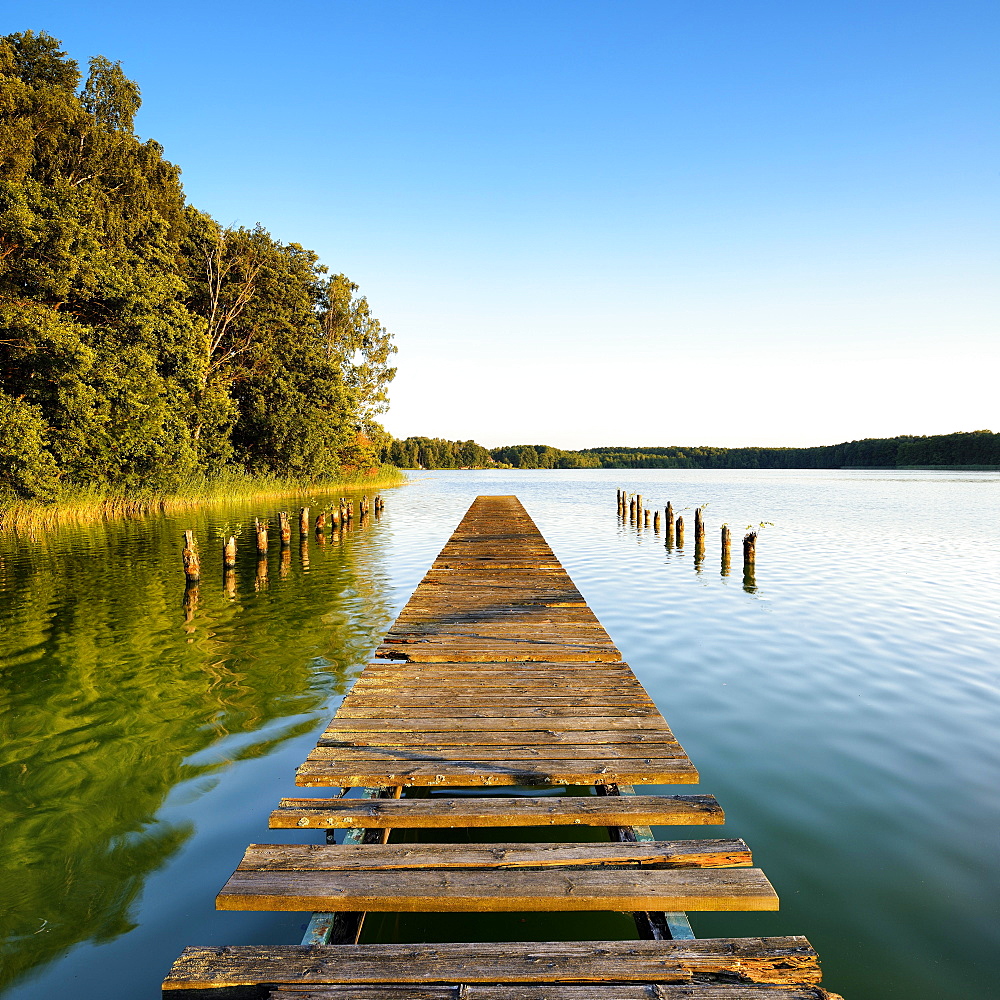 Old wooden footbridge at the lake Grosser Mullroser See, garbage rose, nature park Schlaubetal, Brandenburg, Germany, Europe