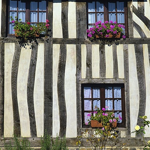 Typical house, half-timbered, in Normandy, France, Europe