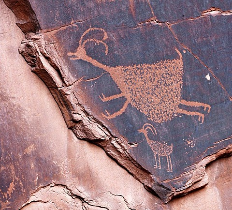 Petroglyphs etched in sandstone, symbols, prehistoric and historic rock art, wall drawings by the Anasazi Native Americans, Monument Valley, Navajo Tribal Park, Navajo Nation Reservation, Arizona, Utah, United States of America, USA