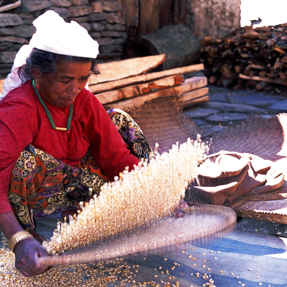 Woman Willowing Maize. Annapurna Trail near Pokhara.