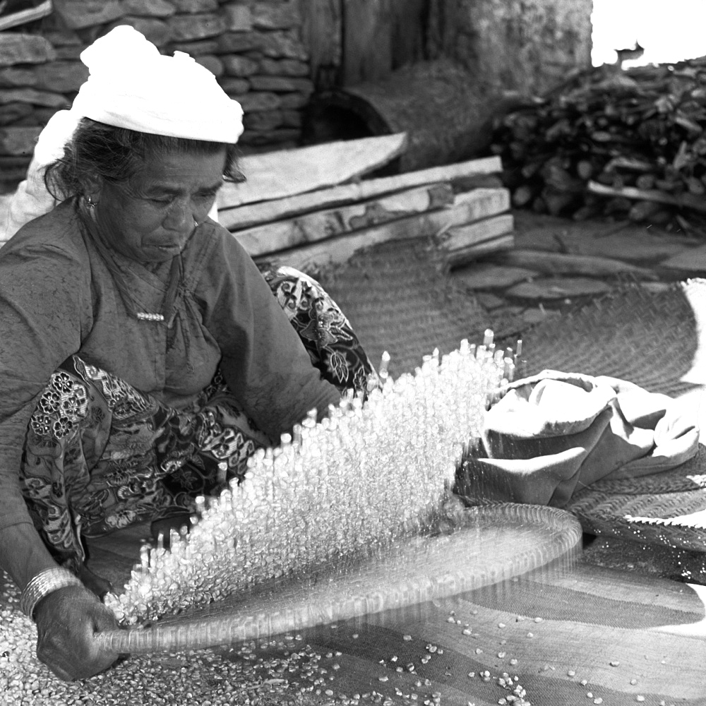 Woman Willowing Maize. Annapurna Trail near Pokhara.