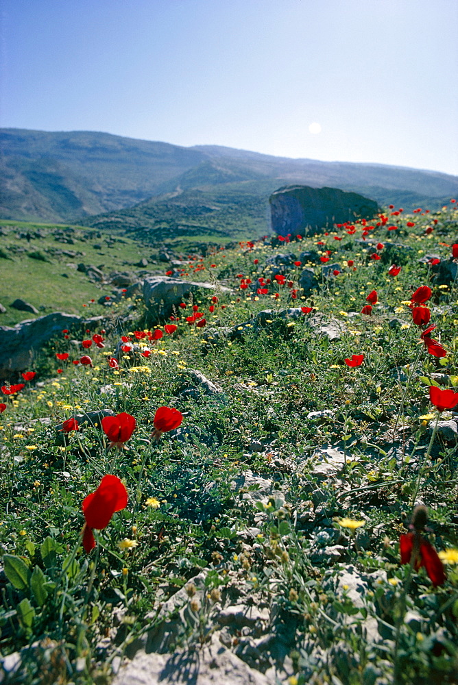 Landscape near Shiraz, Iran, Middle East