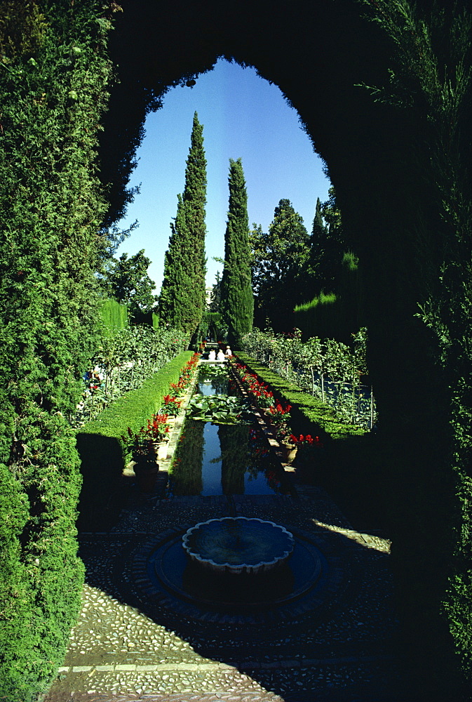 Gardens of the Generalife, UNESCO World Heritage Site, Granada, Andalucia, Spain, Europe