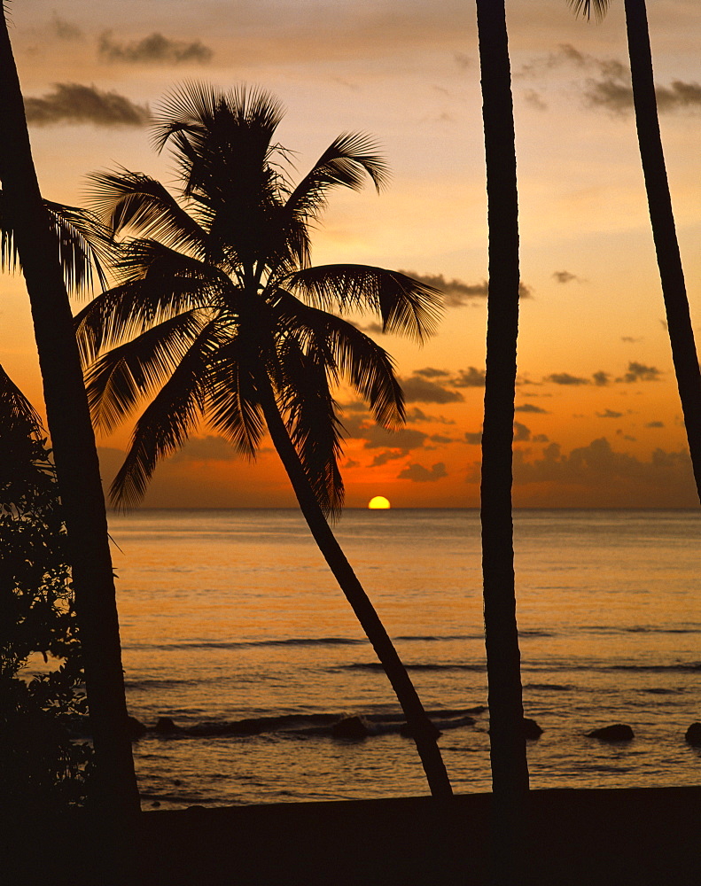 Beach at sunset, Barbados, West Indies, Caribbean, Central America