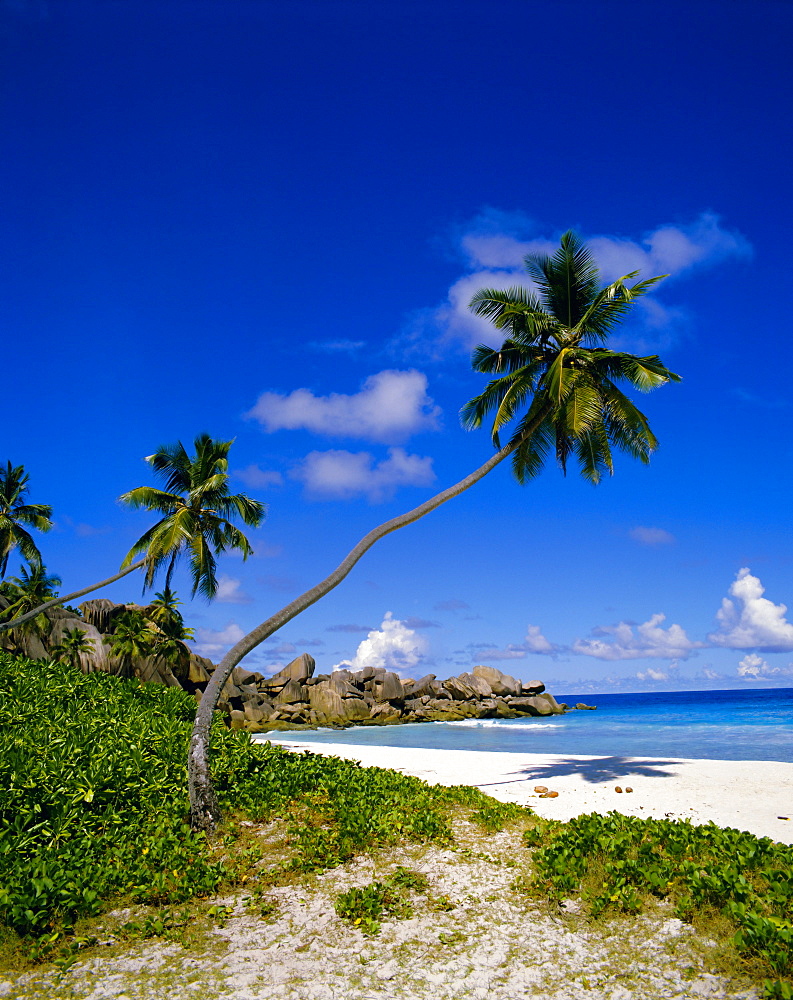 Beach, Grand Anse, La Digue Island, Seychelles