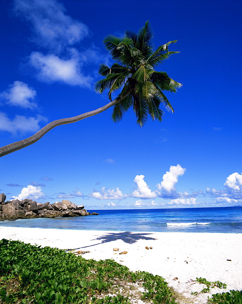 Grand Anse, La Digue island, Seychelles, Indian Ocean, Africa