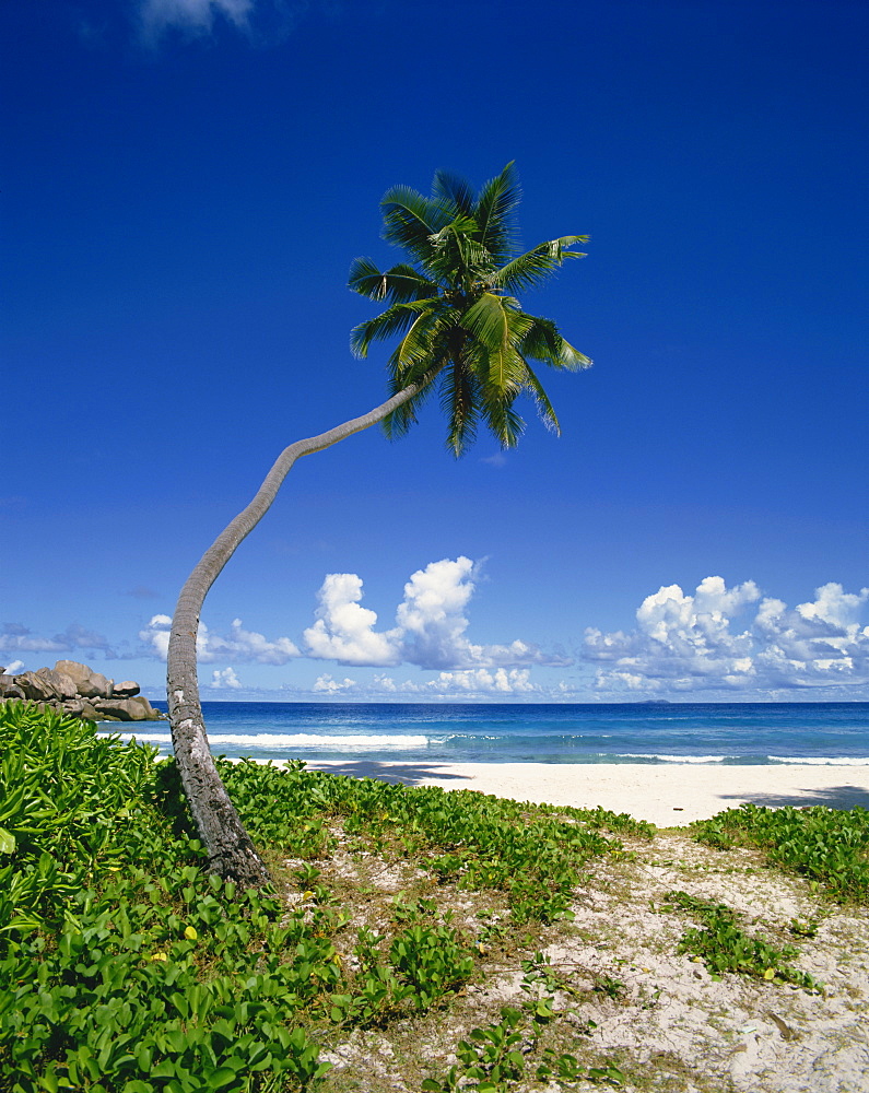 Grand Anse, La Digue, Seychelles, Indian Ocean, Africa