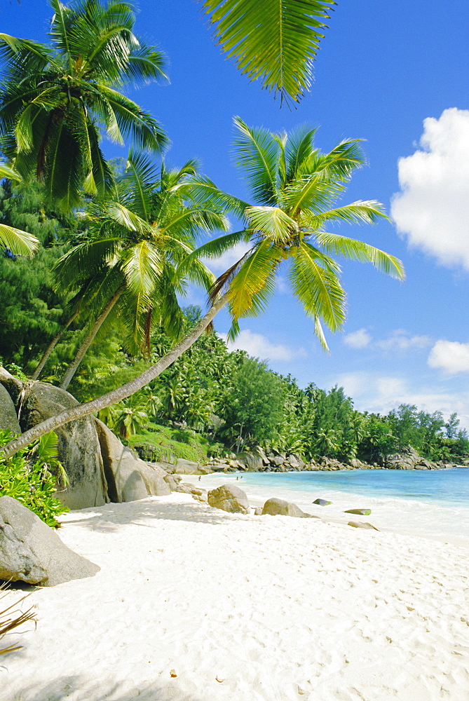 Anse Intedance, Mahe, Seychelles, Indian Ocean