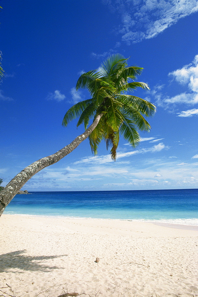 Beach, Mahe, Seychelles, Indian Ocean, Africa