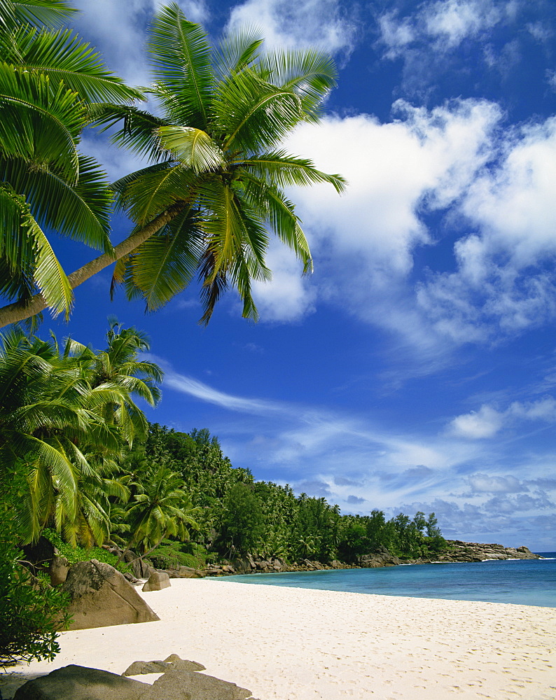 Anse Intedance, Mahe, Seychelles, Indian Ocean, Africa