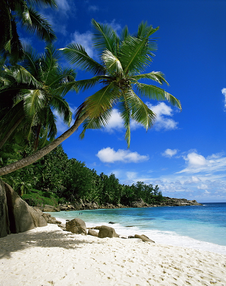 Seychelles, Indian Ocean, Africa