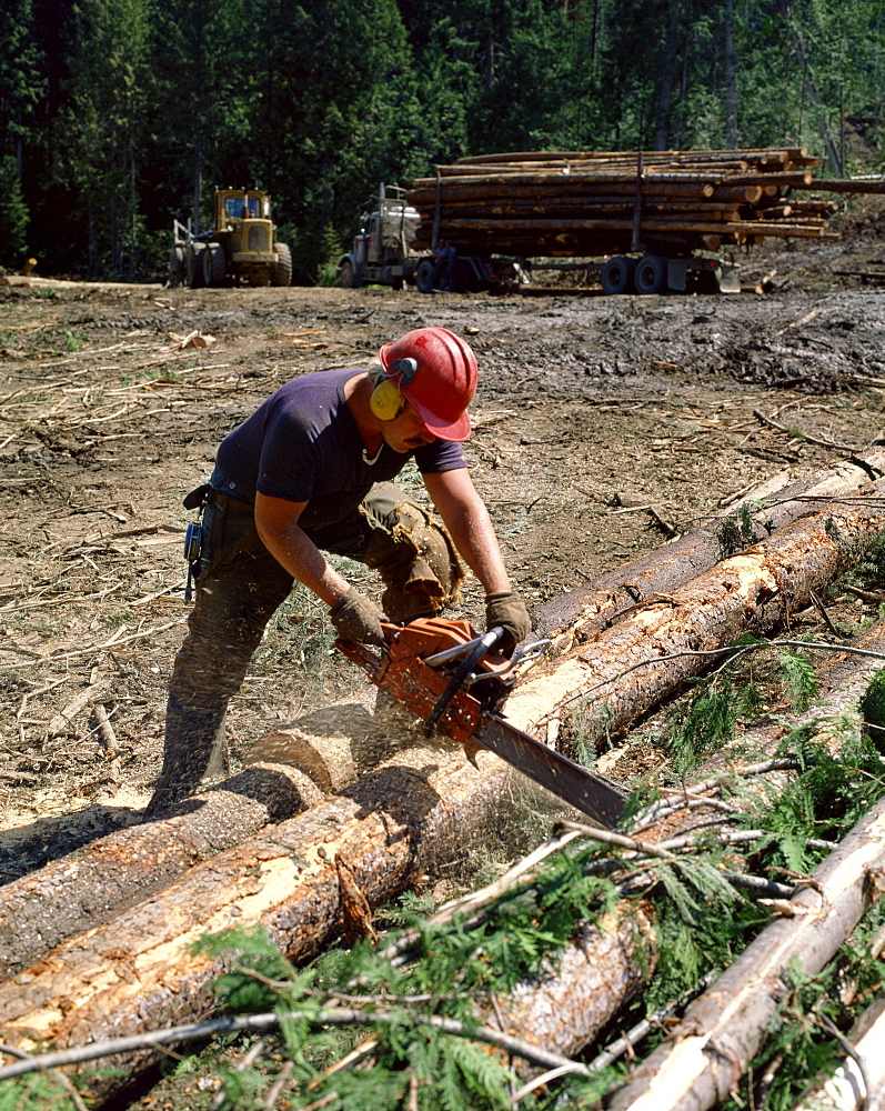 Logging in British Columbia, Canada, North America