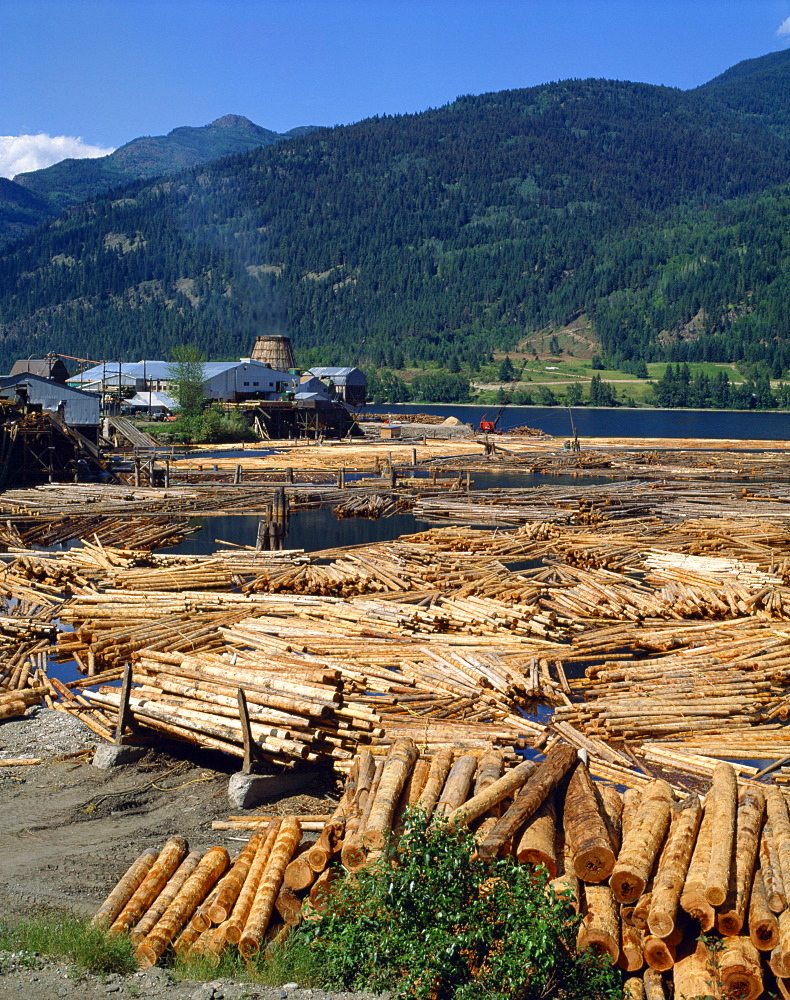 Lumber mill near Chase, British Columbia, Canada, North America