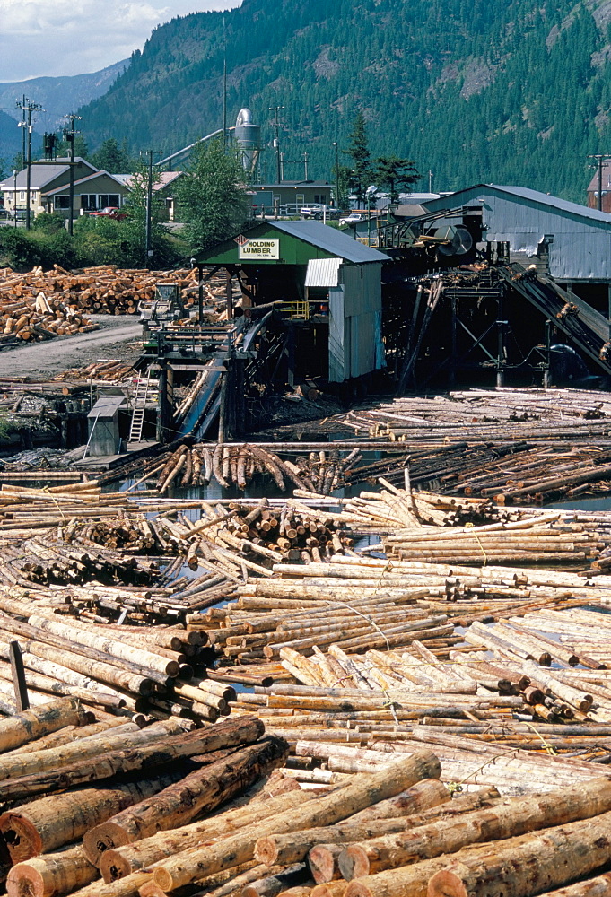 Sawmill, British Columbia, Canada, North America