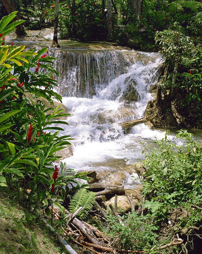 Dunns River Falls, Ocho Rios, Jamaica, West Indies, Caribbean, Central America