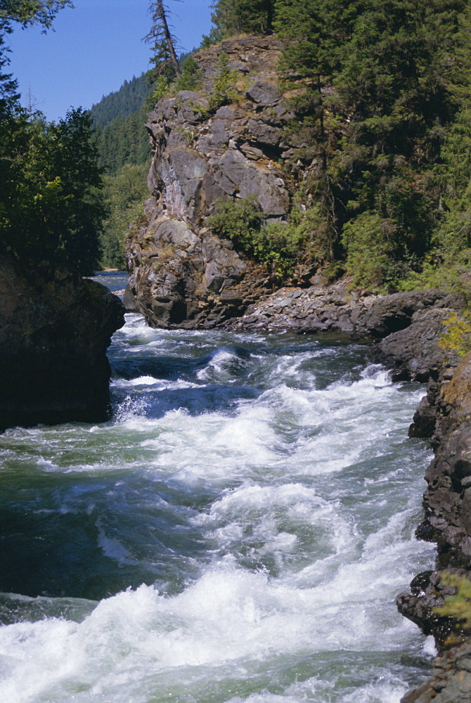 Adams River, British Columbia (B.C.), Canada, North America