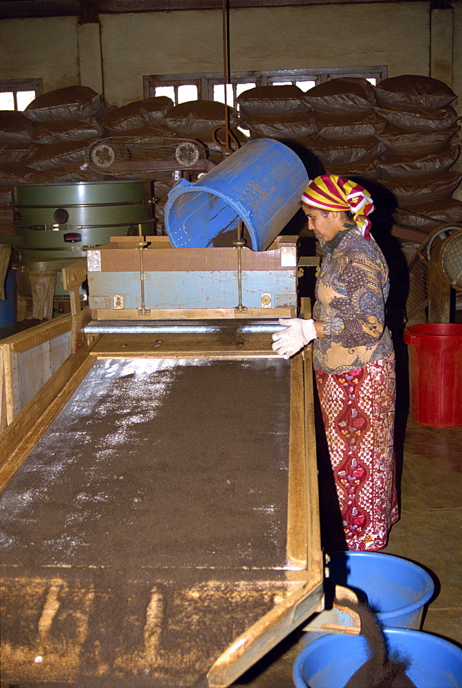 Tea production, Cameron Highlands, Malaysia, Southeast Asia, Asia