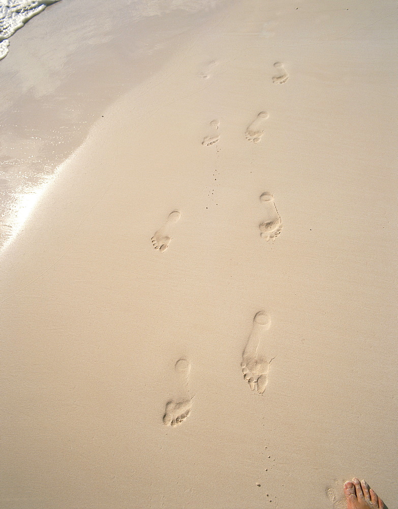 Footprints on wet sand, Whale Beach, Bermuda, mid Atlantic