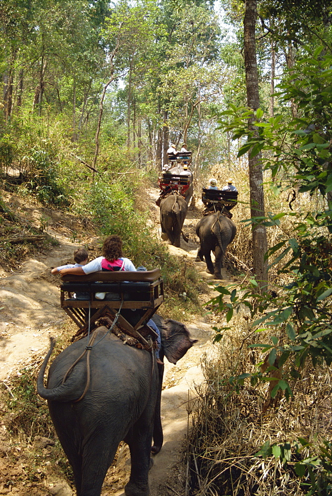 Tourists taking elephant ride at Elephant Show, near Chiang Mai, Thailand, Southeast Asia, Asia