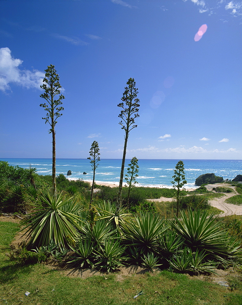 South coast, Bermuda, Central America, mid-Atlantic