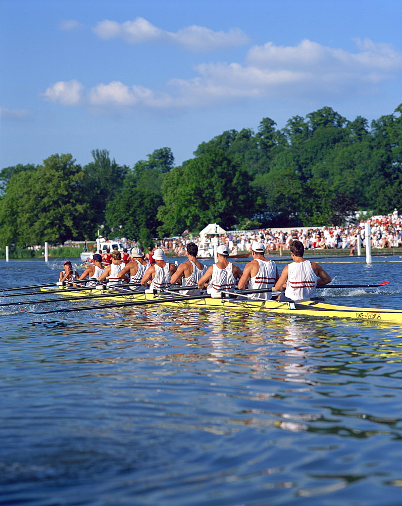 Royal Regatta, Henley on Thames, Oxfordshire, England, United Kingdom, Europe