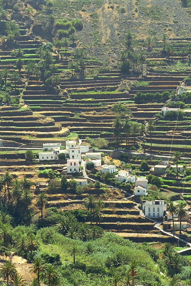 Valle Gran Rey, La Gomera, Canary Islands, Spain, Atlantic, Europe