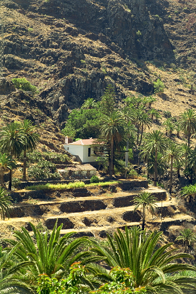 Valle Gran Rey, La Gomera, Canary Islands, Spain, Atlantic, Europe