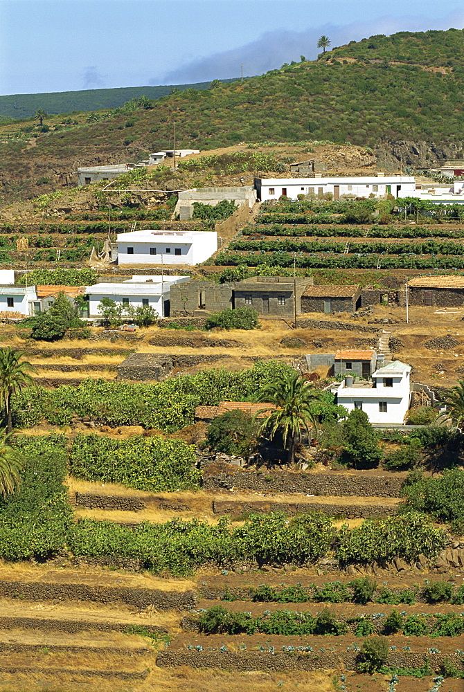 Small houses and terraced fields near Las Hayas in the southeast of La Gomera, Canary Islands, Spain, Europe