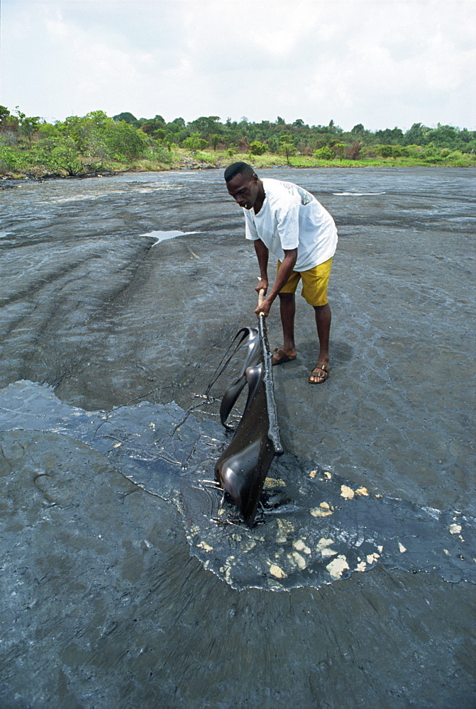 The world's largest natural pitch lake, 90 meters deep, Trinidad, West Indies, Caribbean, Central America