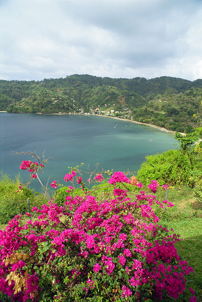 Charlotteville, Tobago, West Indies, Caribbean, Central America