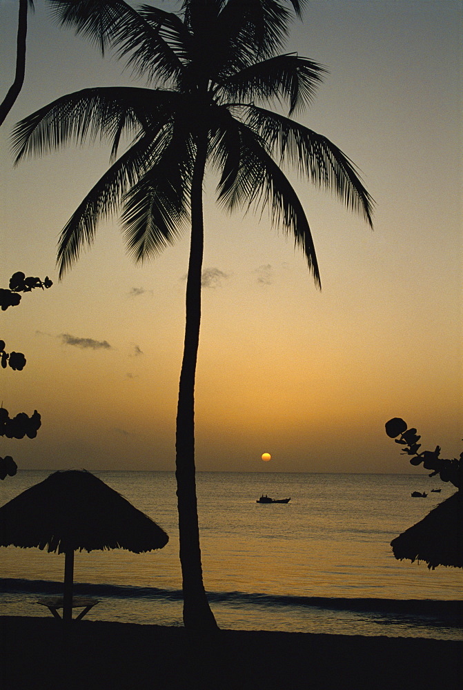 Turtle Beach, Tobago, West Indies, Caribbean, Central America