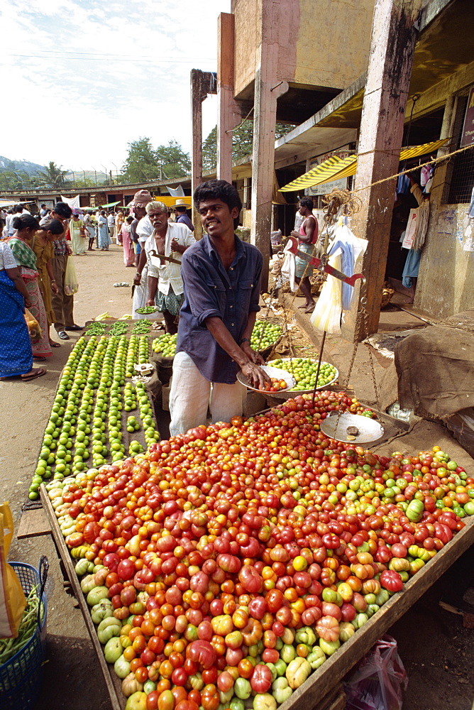 Market vendor selling tomatoes, main market area, Kandy, Sri Lanka, Asia