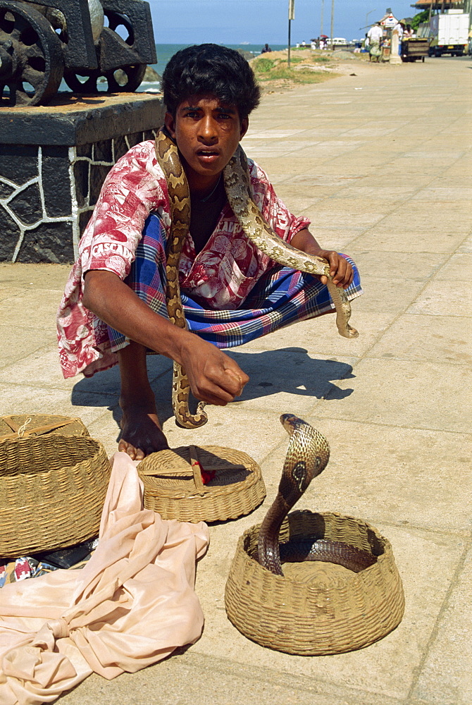 Snake charmer on the waterfront, Colombo, Sri Lanka, Asia