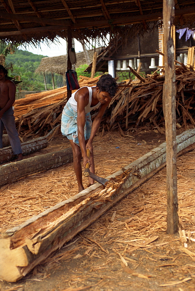 Making timber battens from coconut trees, cutting with an axe, Sri Lanka, Asia