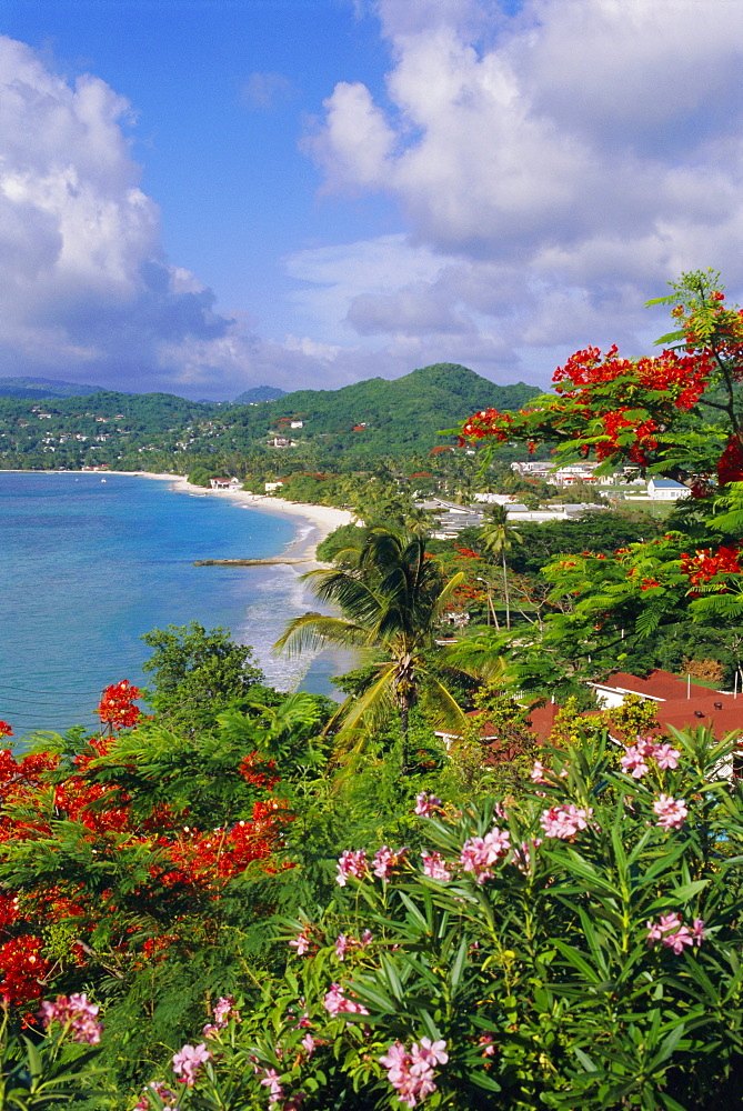 Grand Anse Beach, Grenada, Caribbean, West Indies